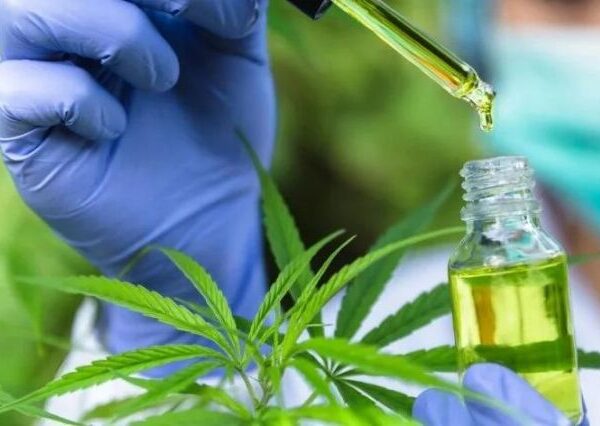 how-medical-marijuana-is-proving-to-be-a-game-changer