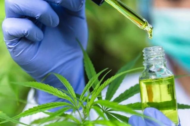 how-medical-marijuana-is-proving-to-be-a-game-changer