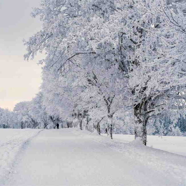 When to Replace Your Snow Shovel Signs of Wear and Tear