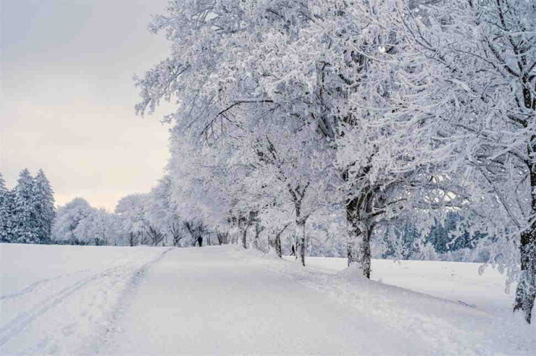 When to Replace Your Snow Shovel Signs of Wear and Tear