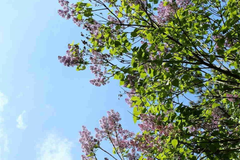 Hidden Strength In Facing Challenges With A Clear Mindset