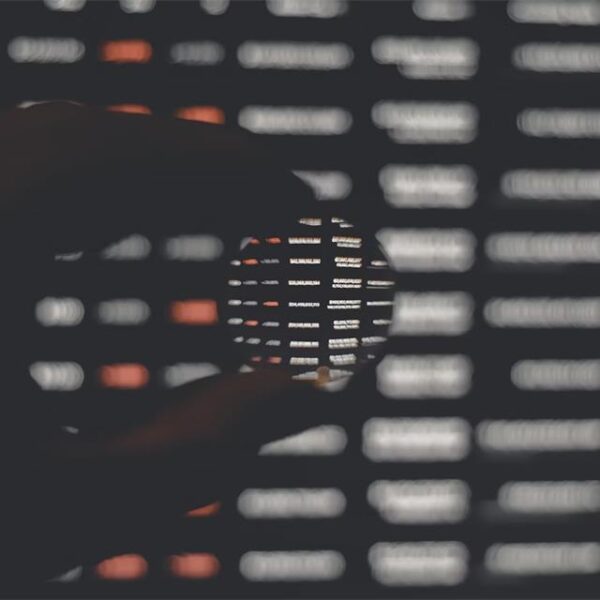 Network Security Essentials for Business Protection