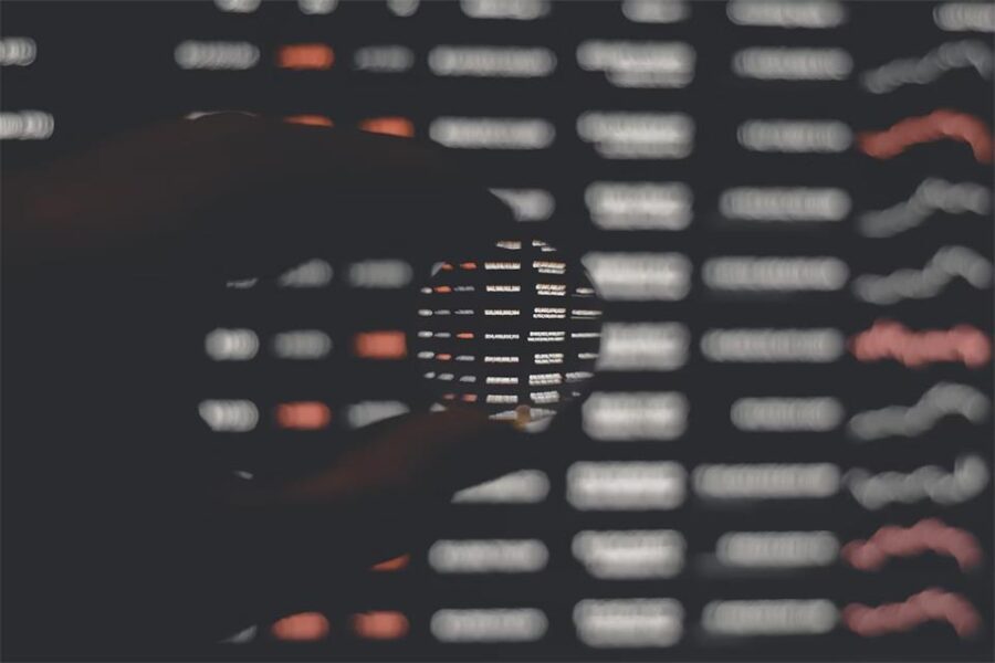 Network Security Essentials for Business Protection