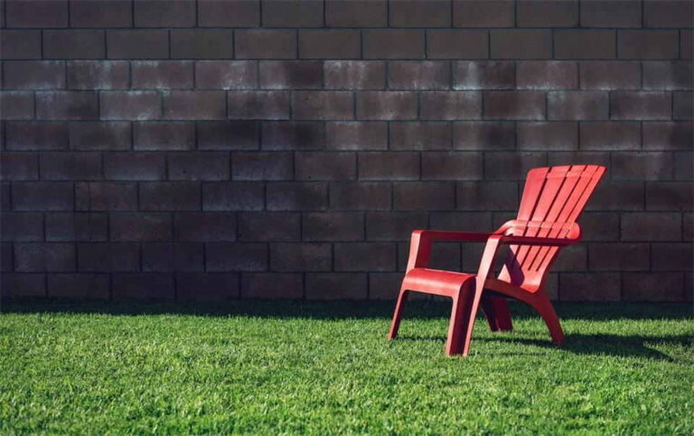 Simple Tips to Make Your Backyard Look Better