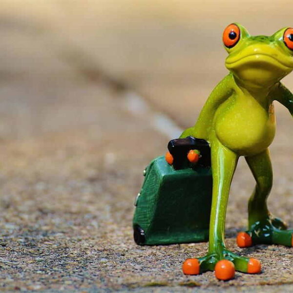 How to Travel Further on the Same Budget