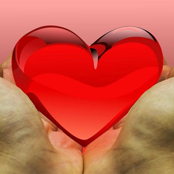 What Happens After You Donate The Journey of Relief Funding