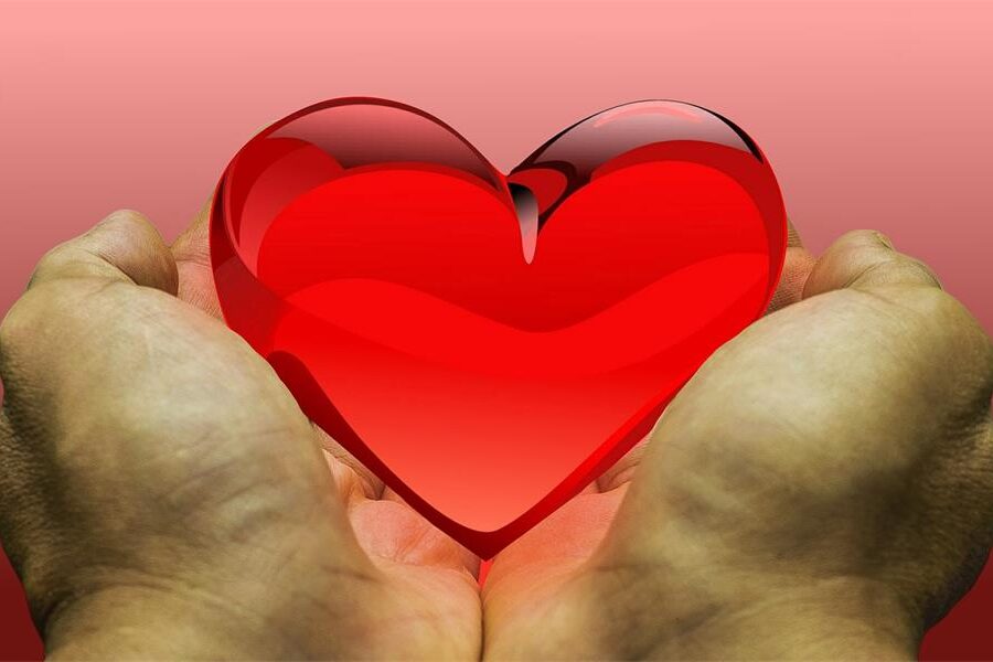 What Happens After You Donate The Journey of Relief Funding